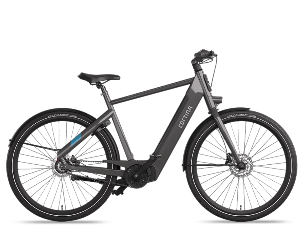 Cortina E-Blau MM Heren