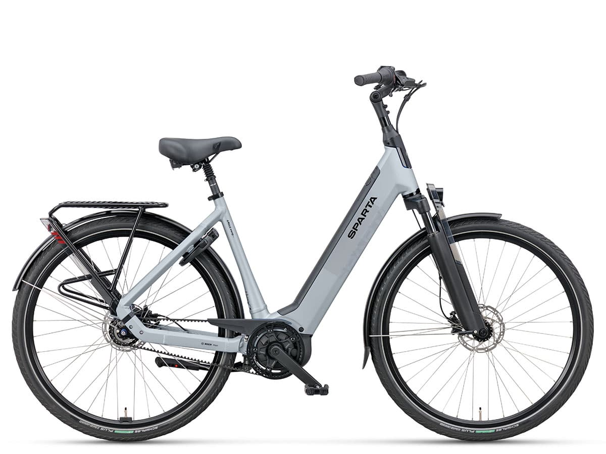 Sparta D-Rule Energy Dames